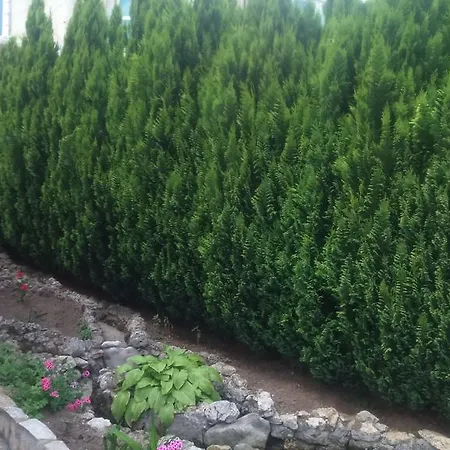 Enjoy 3* Златни пясъци