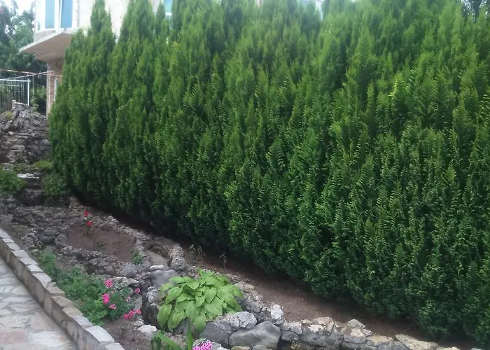 Enjoy 3* Golden Sands